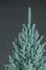 Искусственная елка литая Венская 2.1м голубая (YLV21MBL)
