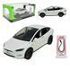 Игрушечная модель Автопром Tesla model Х масштаб 1:24 с зарядной станцией и свето-звуковыми эффектами белая (AP7712WT)