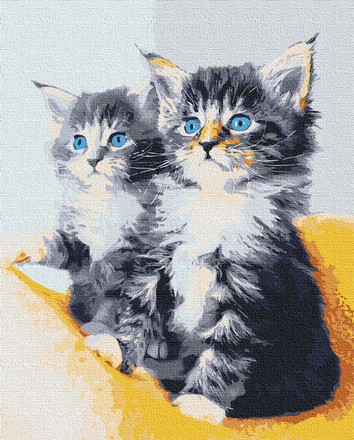 Картина для малювання за номерами Art Craft Блакитноокі кошенята 40х50см (11617-AC)