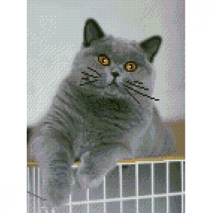 Картина по номерам с алмазной мозаикой Стратег Интересный котик 30х40см (HX177)