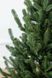 Искусственная елка Венская Европейская литая в горшке 0.7м зеленая (YLVG07MZ)