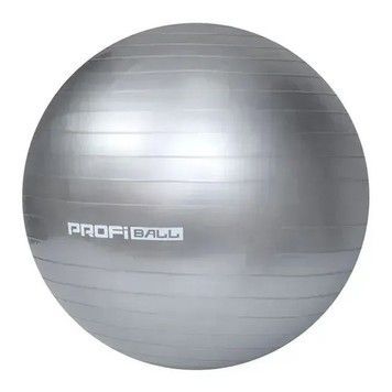 М'яч гімнастичний ProfiBall фітбол гумовий d-55 срібний (MS0381SL)