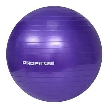 М'яч гімнастичний ProfiBall фітбол гумовий d-55 фіолетовий (MS0381VL)