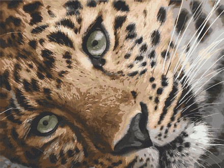 Картина для рисования по номерам Art Craft Леопард 40х50см (11635-AC)