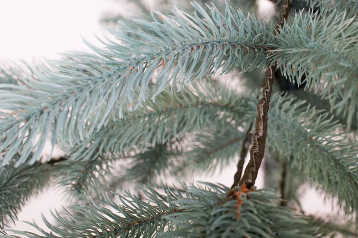 Искусственная елка литая Президентская 2.1м голубая (YLP21MBL)
