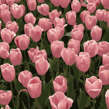Картина-раскраска Strateg по номерам Розовые тюльпаны 20х20 (HH5113)