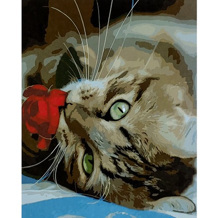 Картина-раскраска по номерам Strateg Котик с цветком 40х50 (SY6916)