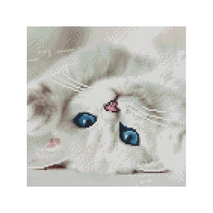 Картина за номерами з алмазною мозаїкою Стратег Блакитні очі котика 30х30см (CA-0013)