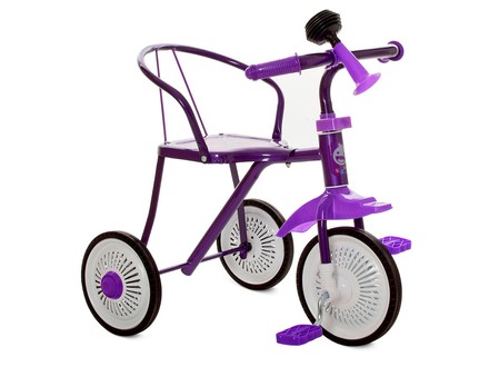 Велосипед детский трехколесный стальной фиолетовый (M5335VL)