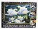 Набор для творчества Danko Toys Алмазная живопись Diamond Mosaic (DM-03-)