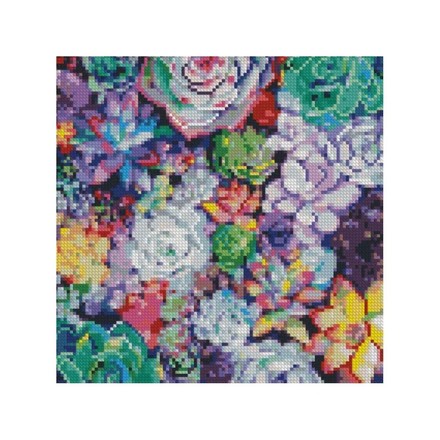 Картина по номерам с алмазной мозаикой Стратег Разноцветная эхеверия 30х30см (CA-0012)