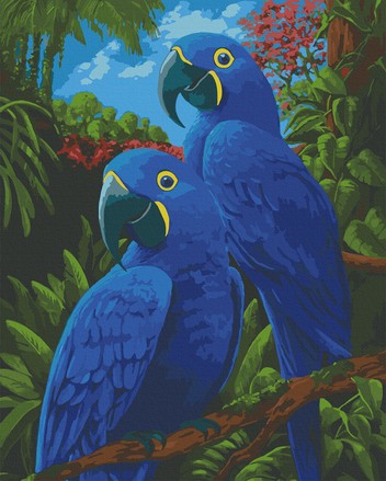 Картина за номерами Art Craft Блакитні ари 40x50 (11639-AC)
