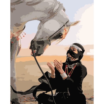 Картина-розмальовка за номерами Strateg Принцеса пустелі 40х50 (GS200)