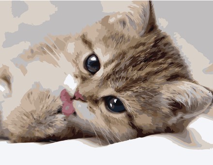 Картина для рисования по номерам Стратег Маленький котик 40х50см (VA-0522)