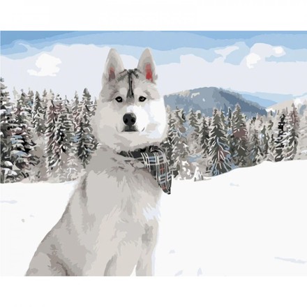 Картина-раскраска по номерам Strateg Белая Хаски среди снега 40х50 (GS1574)