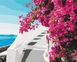 Картина по номерам Brushme Цветы Санторини 40х50 (BS52717)