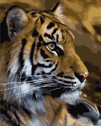 Картина для малювання за номерами Стратег Тигр 40х50см (VA-0248)