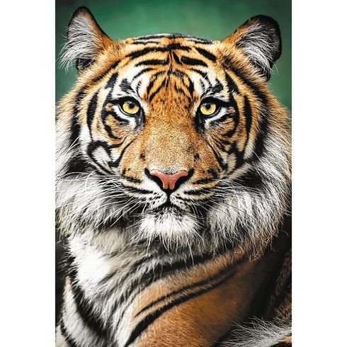 Пазлы Trefl Портрет тигра 1500 эл (26204)