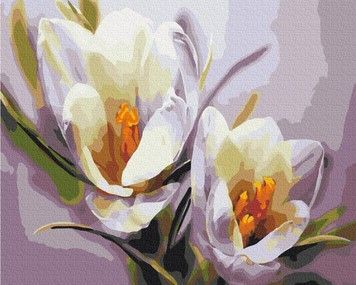Картина по номерам Brushme Крокусы 40х50 (BS5828)