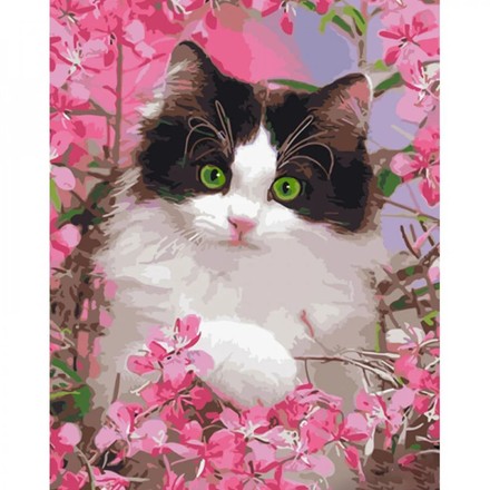 Картина-раскраска по номерам Strateg Котик в розовых цветах 40х50 (GS1483)
